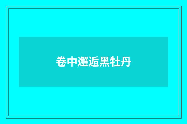 卷中邂逅黑牡丹