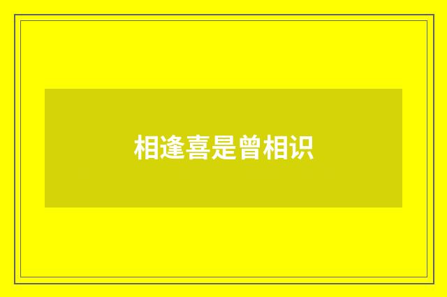 相逢喜是曾相识