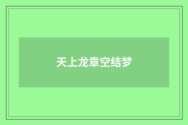 天上龙章空结梦