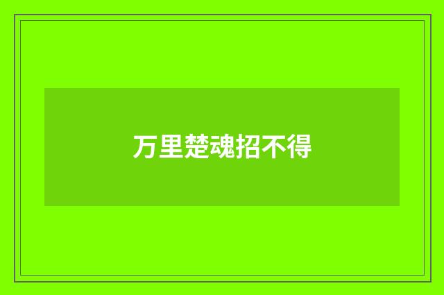 万里楚魂招不得
