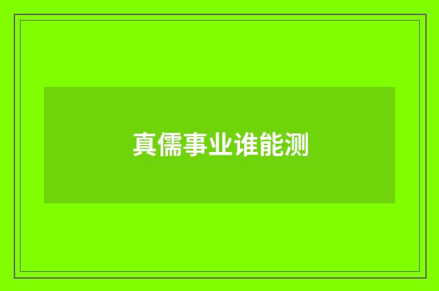 真儒事业谁能测