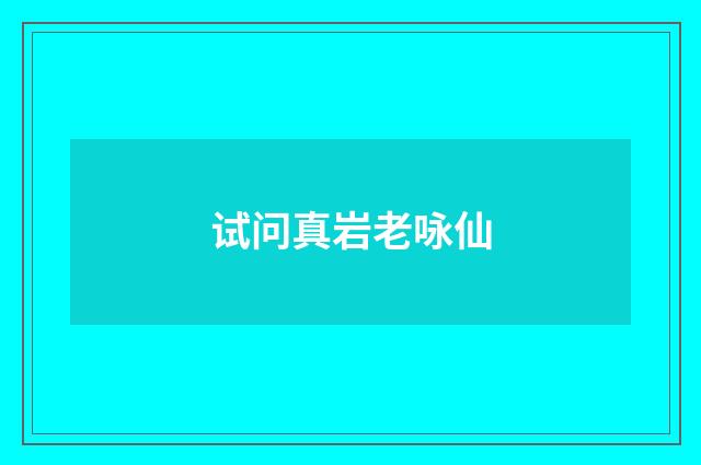 试问真岩老咏仙