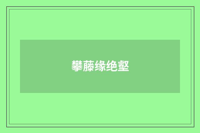 攀藤缘绝壑