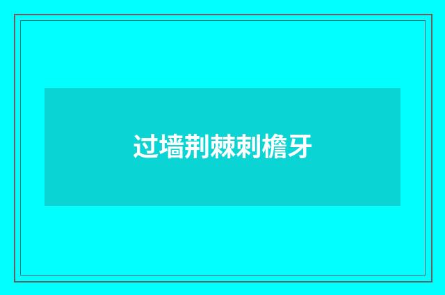 过墙荆棘刺檐牙