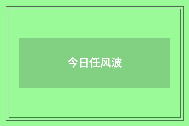 今日任风波