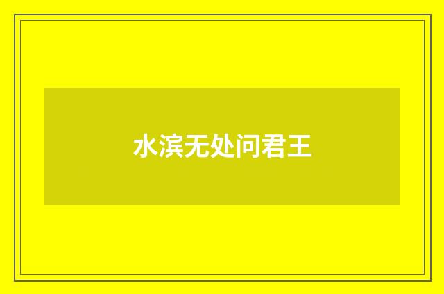 水滨无处问君王
