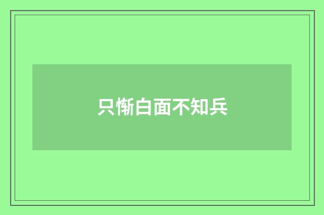 只惭白面不知兵