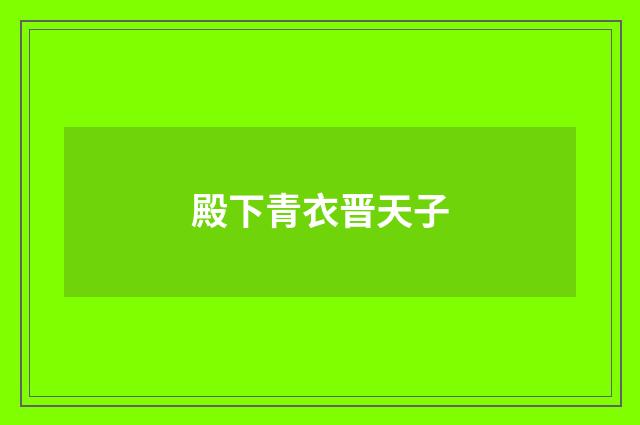 殿下青衣晋天子