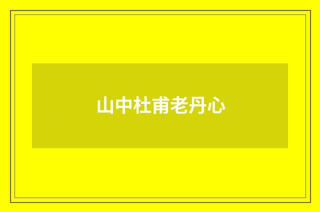 山中杜甫老丹心