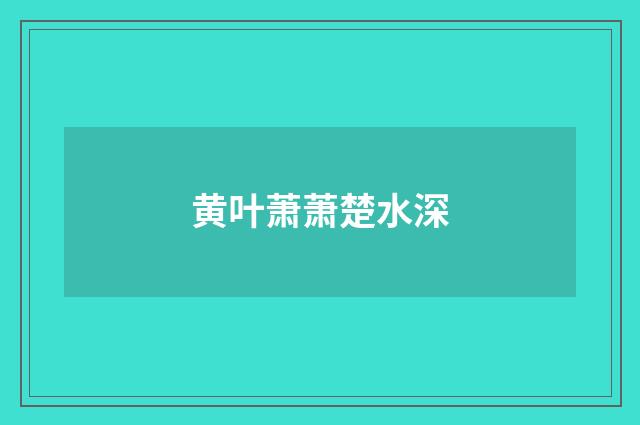 黄叶萧萧楚水深