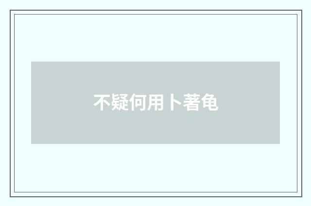 不疑何用卜著龟