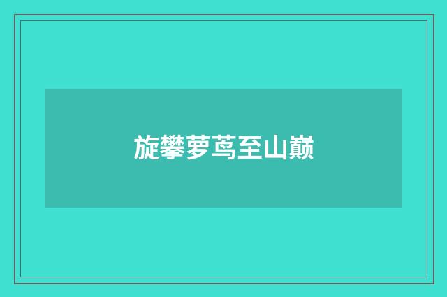 旋攀萝茑至山巅