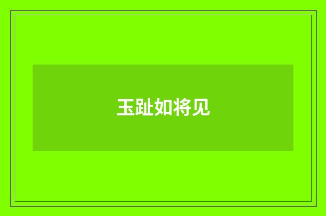 玉趾如将见