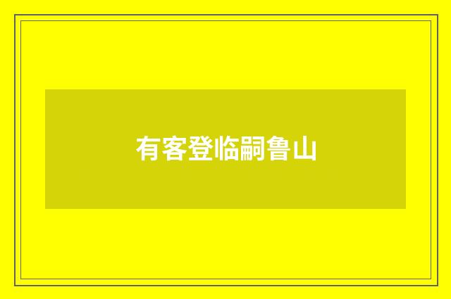 有客登临嗣鲁山