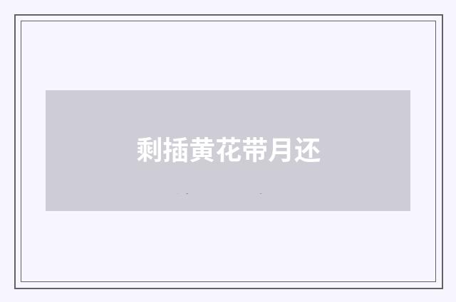 剩插黄花带月还