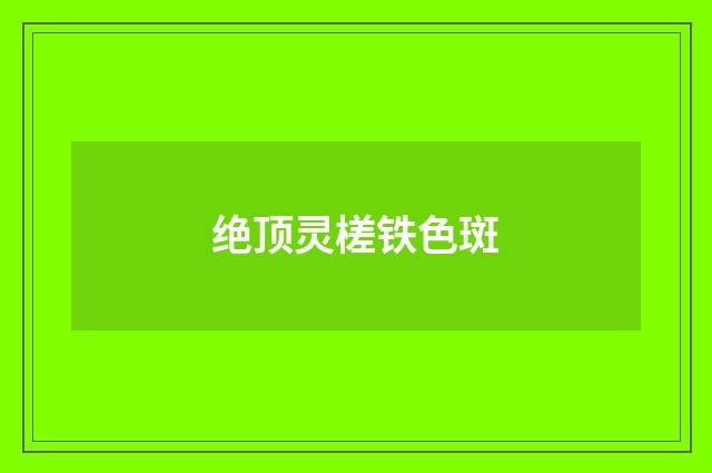 绝顶灵槎铁色斑