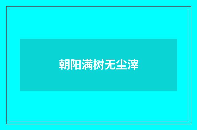 朝阳满树无尘滓