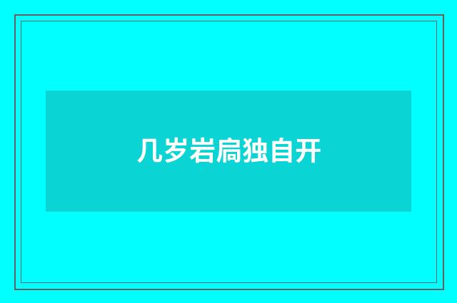 几岁岩扃独自开