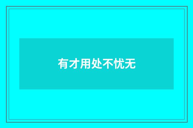 有才用处不忧无