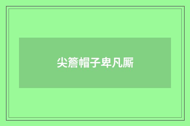 尖簷帽子卑凡厮
