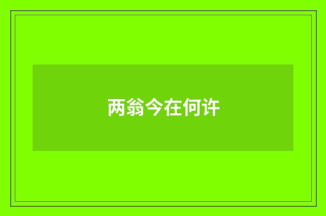 两翁今在何许