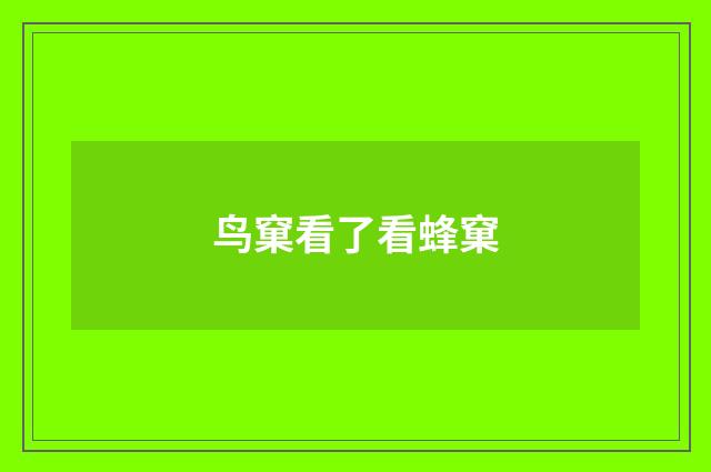 鸟窠看了看蜂窠