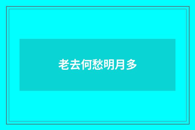 老去何愁明月多