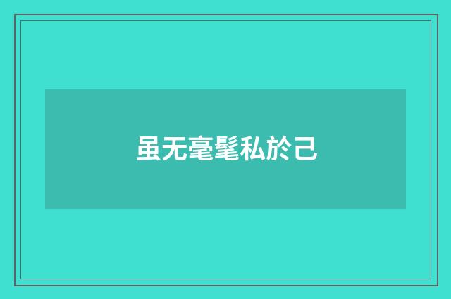 虽无毫髦私於己