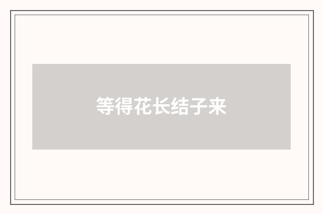 等得花长结子来
