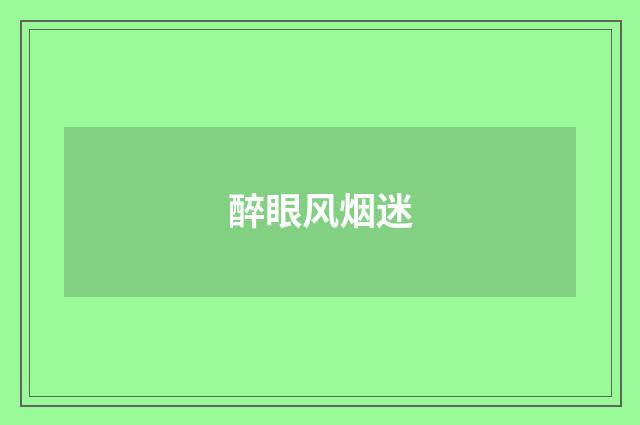 醉眼风烟迷