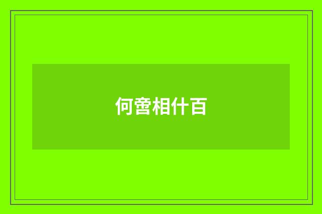 何啻相什百
