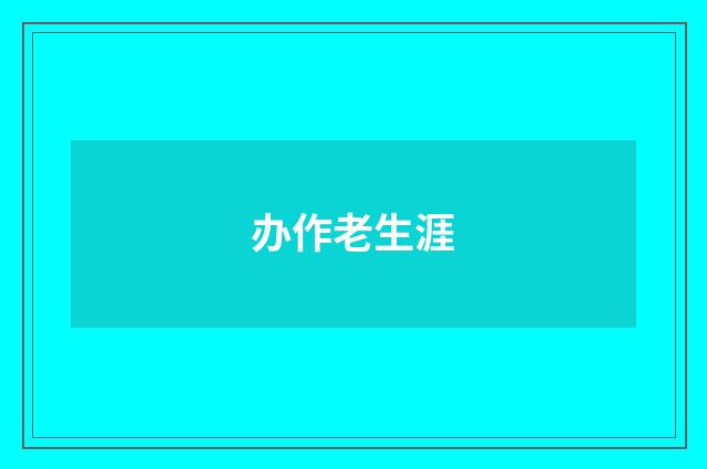 办作老生涯