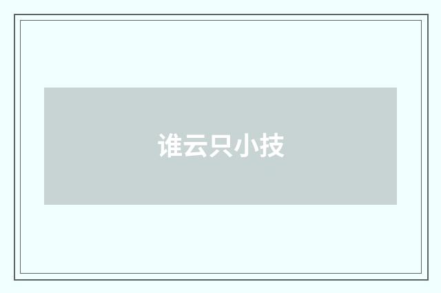 谁云只小技