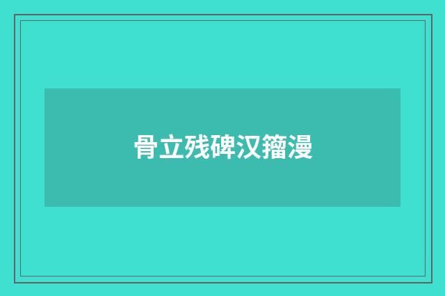 骨立残碑汉籀漫