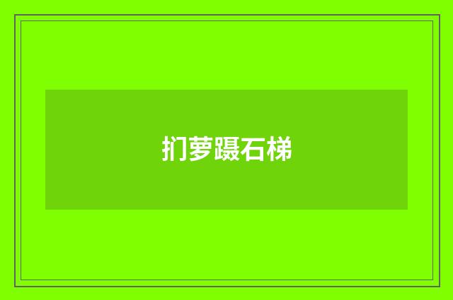 扪萝蹑石梯