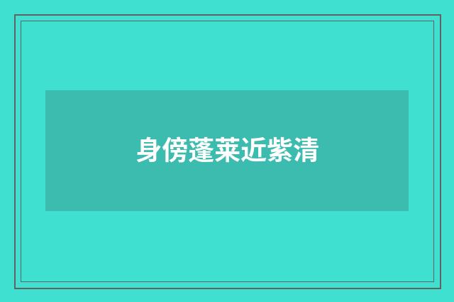身傍蓬莱近紫清