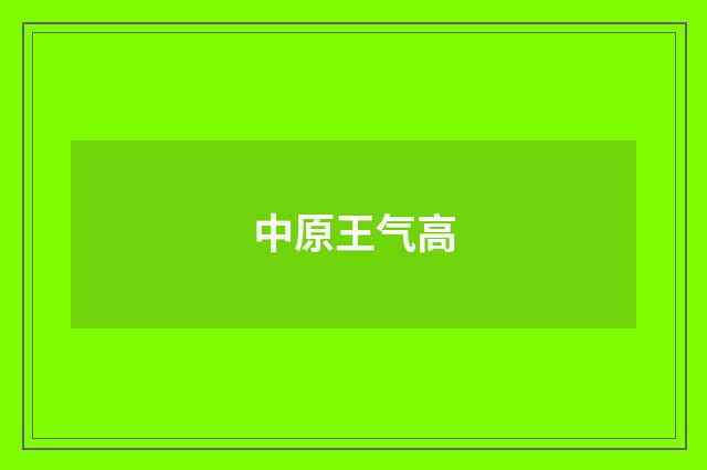 中原王气高