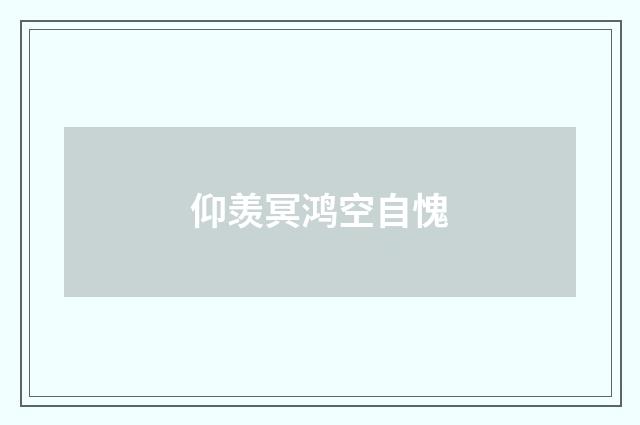 仰羡冥鸿空自愧