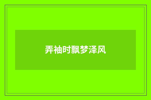 弄袖时飘梦泽风