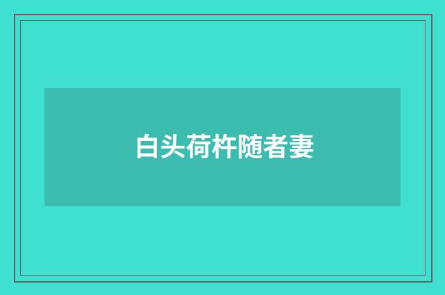 白头荷杵随者妻
