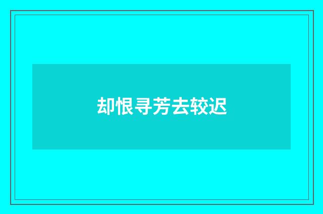 却恨寻芳去较迟