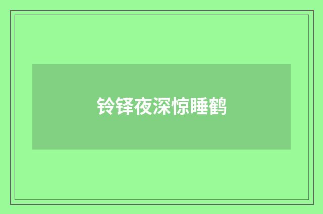 铃铎夜深惊睡鹤