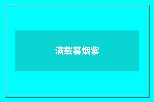 满载暮烟紫