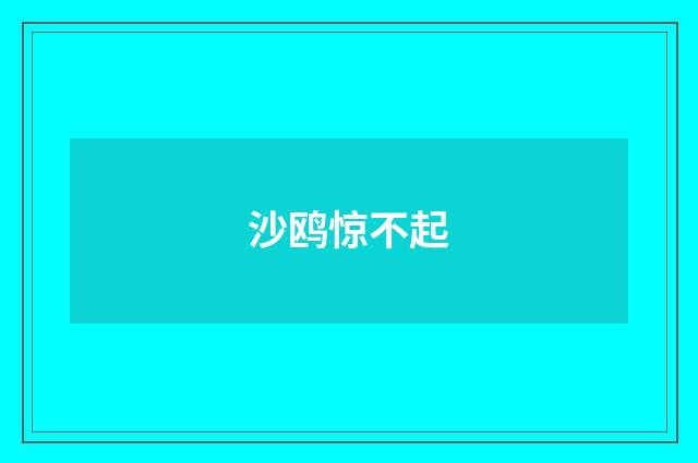 沙鸥惊不起