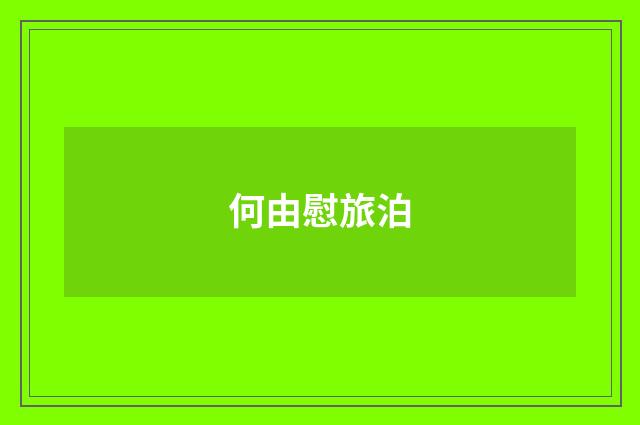 何由慰旅泊