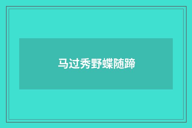 马过秀野蝶随蹄