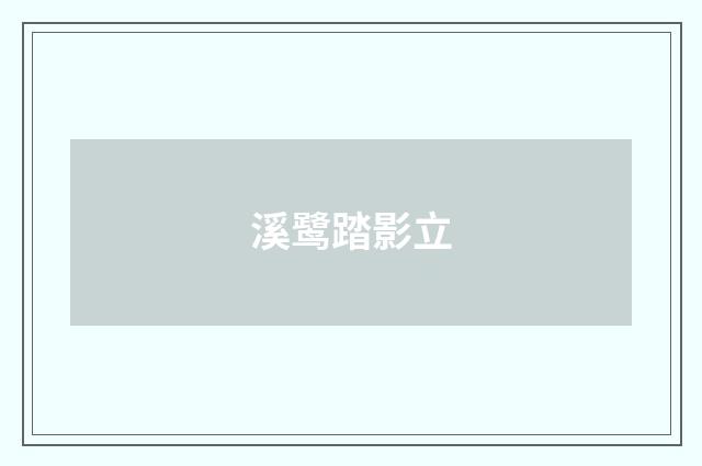 溪鹭踏影立