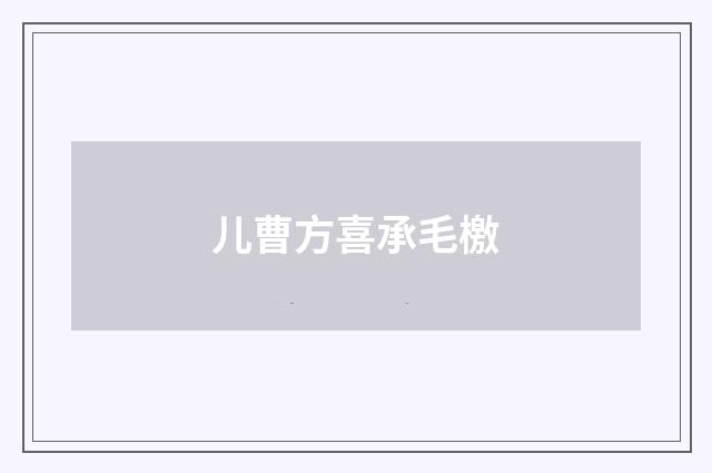 儿曹方喜承毛檄