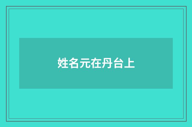 姓名元在丹台上