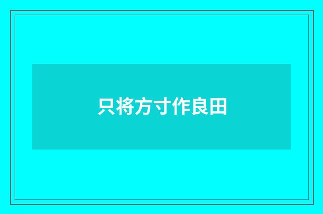 只将方寸作良田